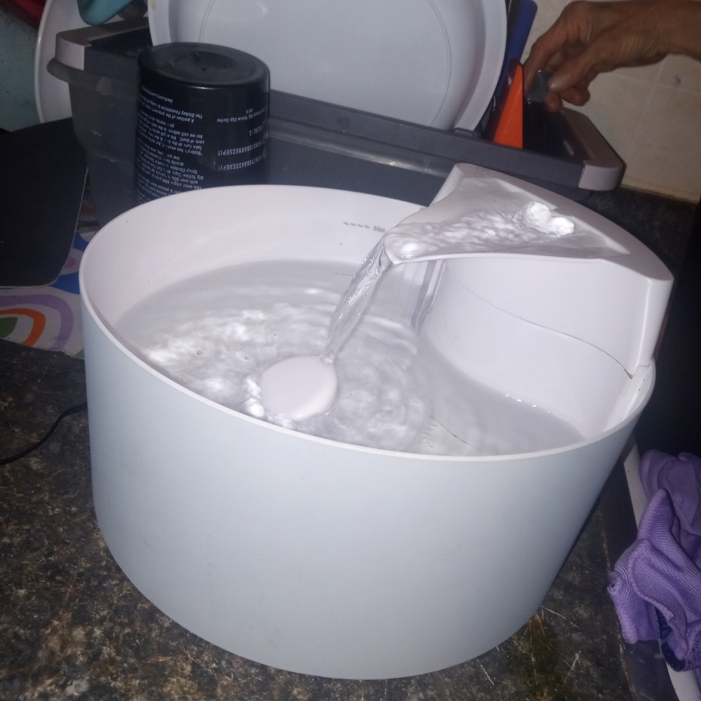 White Automatic Pet Water Fountain